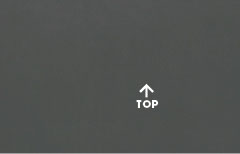  Back To The Top